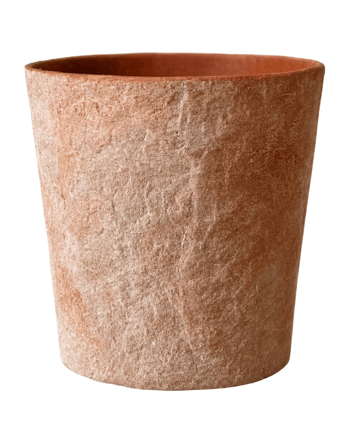 APRICOT assortment preview 3